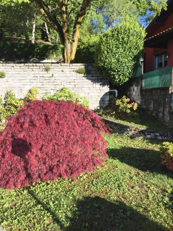 Villa Assunta Premeno Экстерьер фото